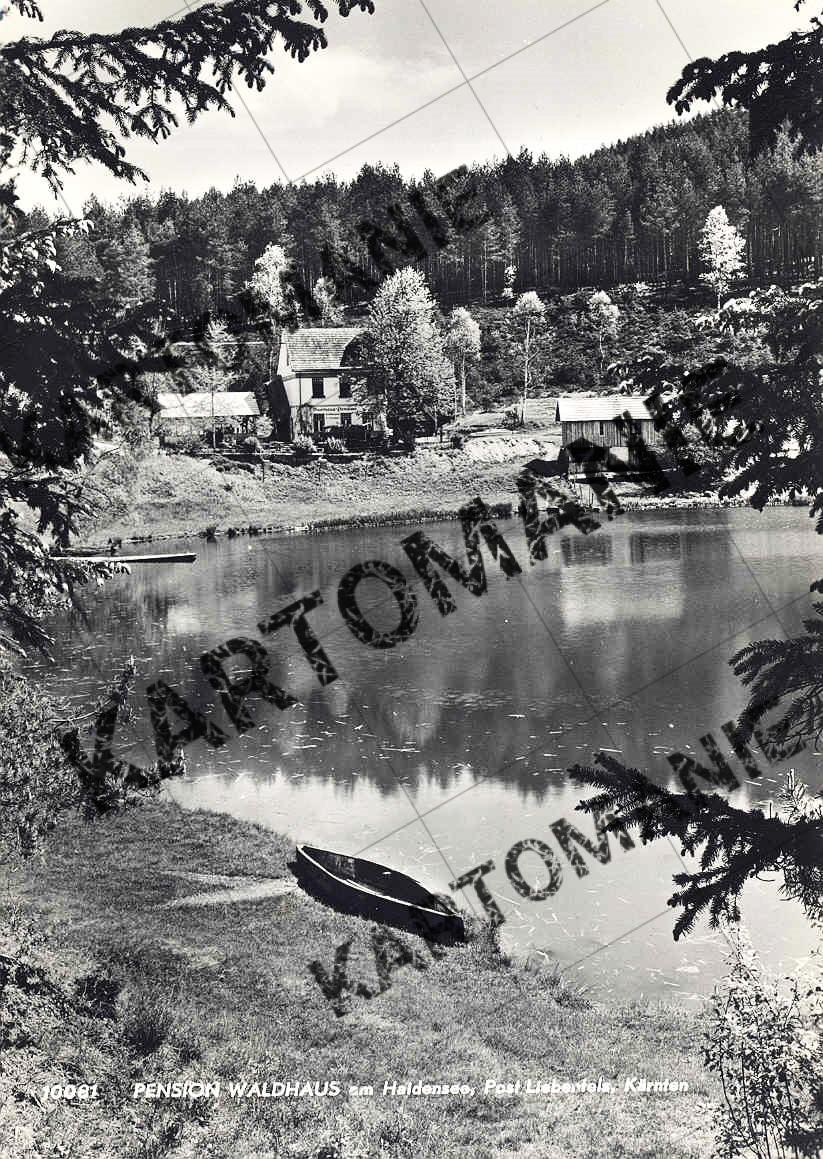 pension waldhaus