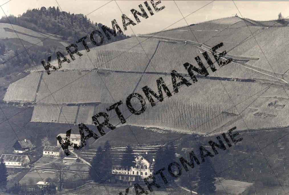 silberberg winzerschule