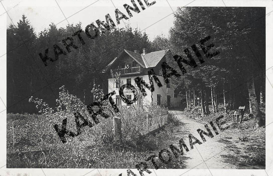 villa waldfriede