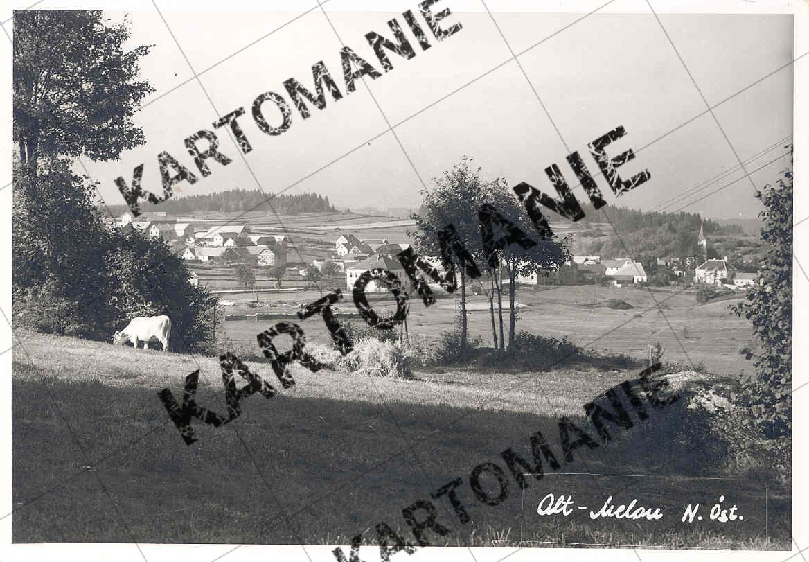 29