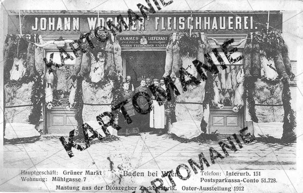 fleischhauer  wochner