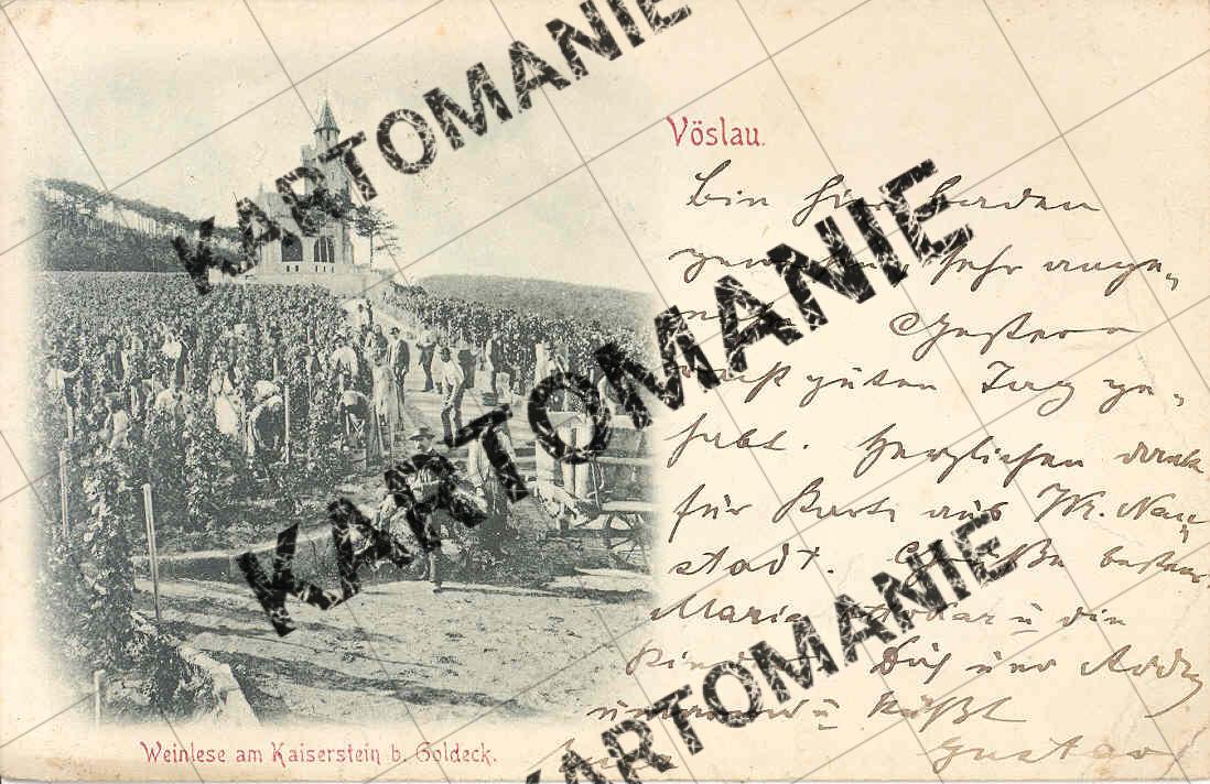 weinlese kaiserstein