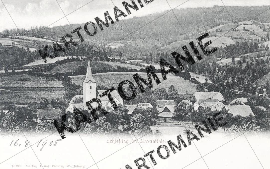 schieflin7