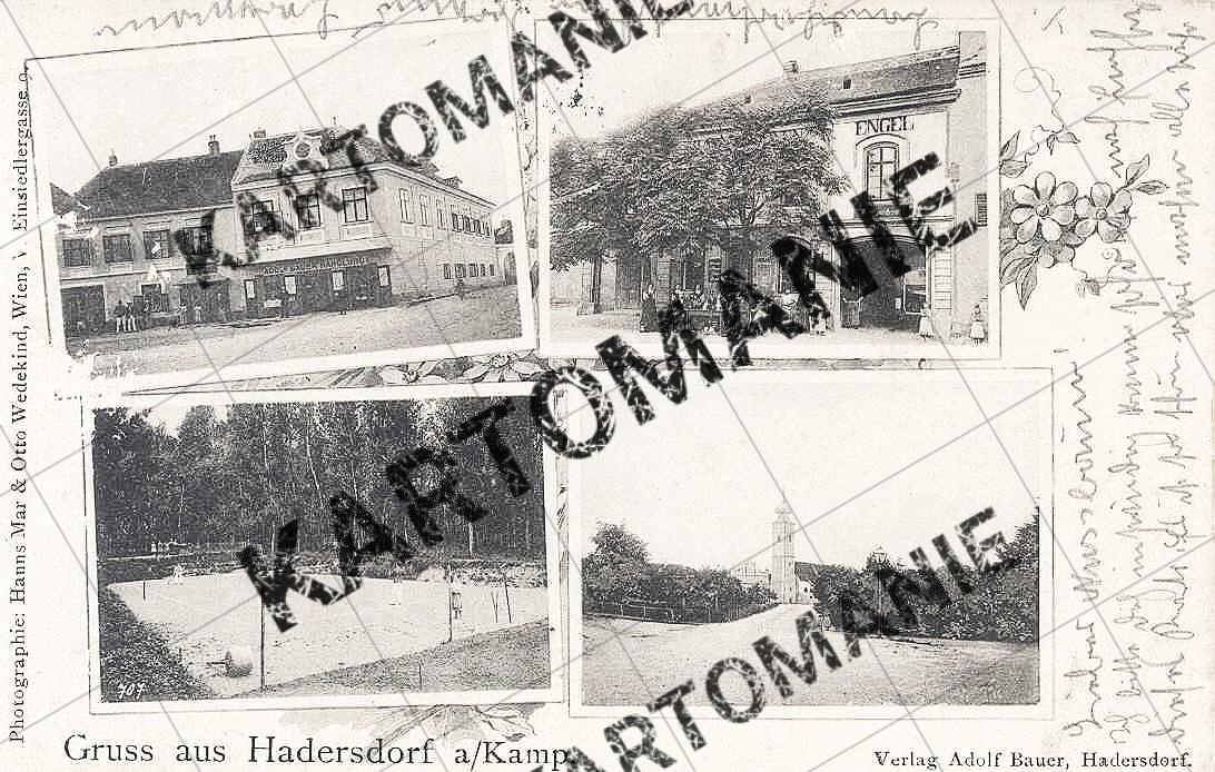 46