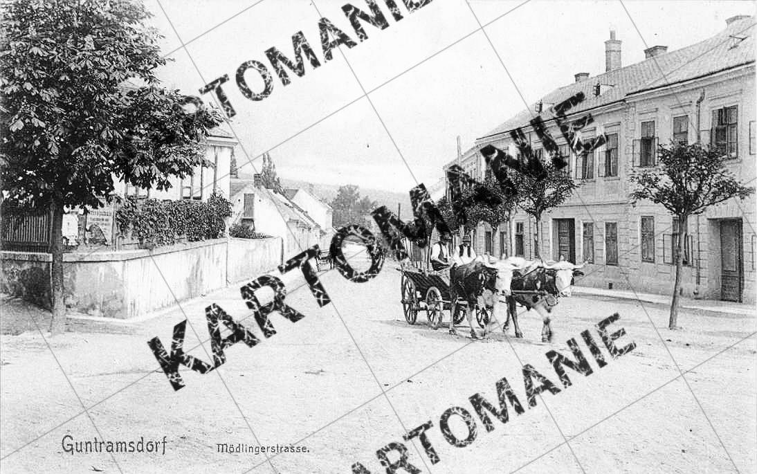 80 mödlingerstr