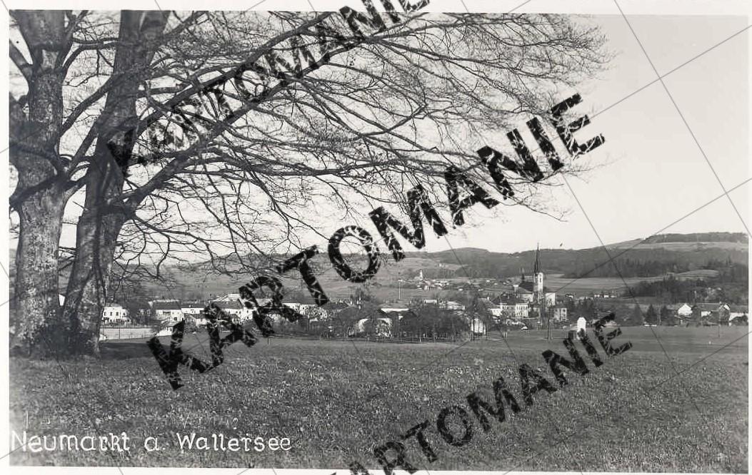 n11